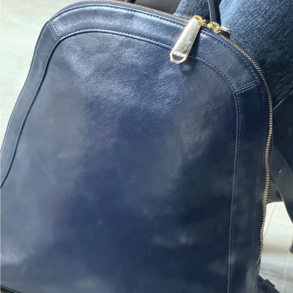 Brahmin Navy Blue Leather Backpack with Gold Hardware - Picture 8 of 16